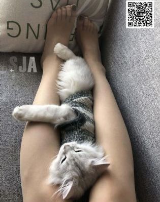 久久伊人黄色_英文版字幕