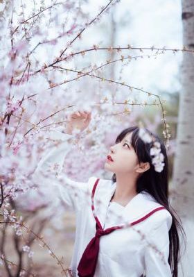 四虎影视在线影院在线观看免费视频_续集欧美成人在线